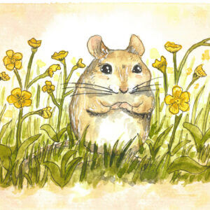 Hamster 1 Print