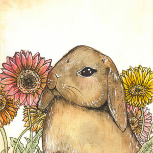 Rabbit